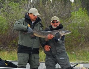 2 friends posing with a walleye